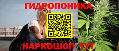 шишки Владивосток